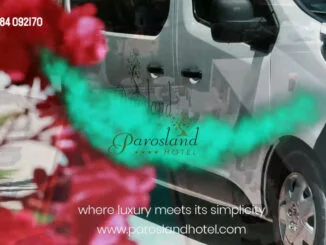 parosland hotel aliki paros,engine power