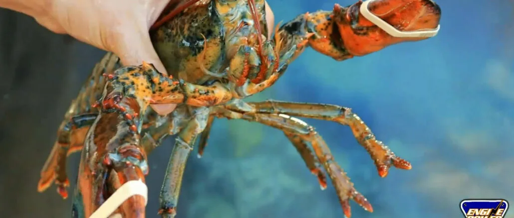 το μπαλκονι του ακη,engine power | ENGINE POWER το μπαλκονι του ακη,engine power