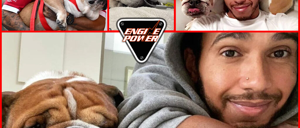 pethane-o-skylos-tou-lewis-hamilton-o-roscoe-F1-formula-1-dog-2025-ferrari