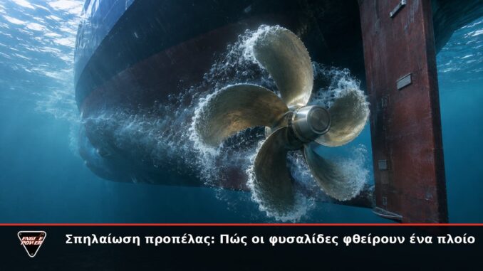Σπηλαίωση προπέλας: Πώς οι φυσαλίδες φθείρουν ένα πλοίο | Engine Power